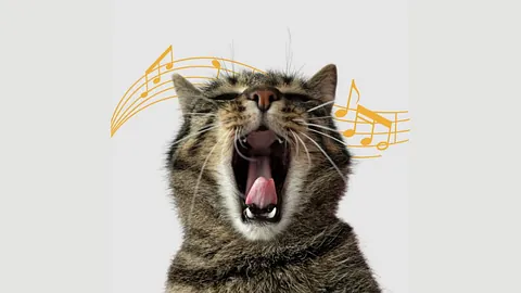 Logo des HauptChores, auf dem eine singende Katze zu sehen ist